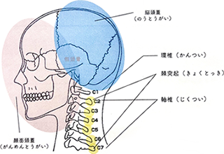 骨格補正スパとは